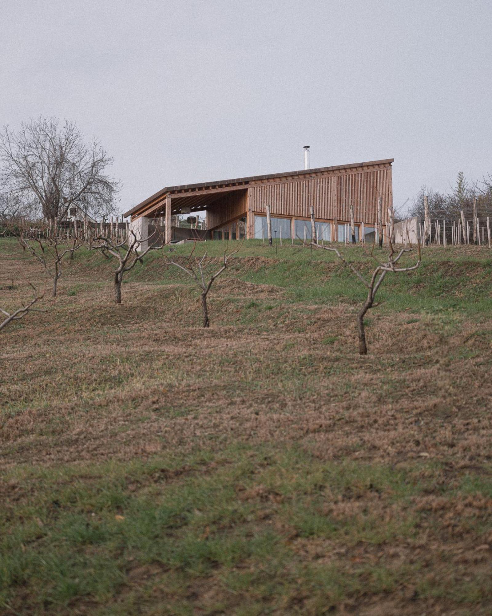 Szegzard - The Lodge Сексард Экстерьер фото