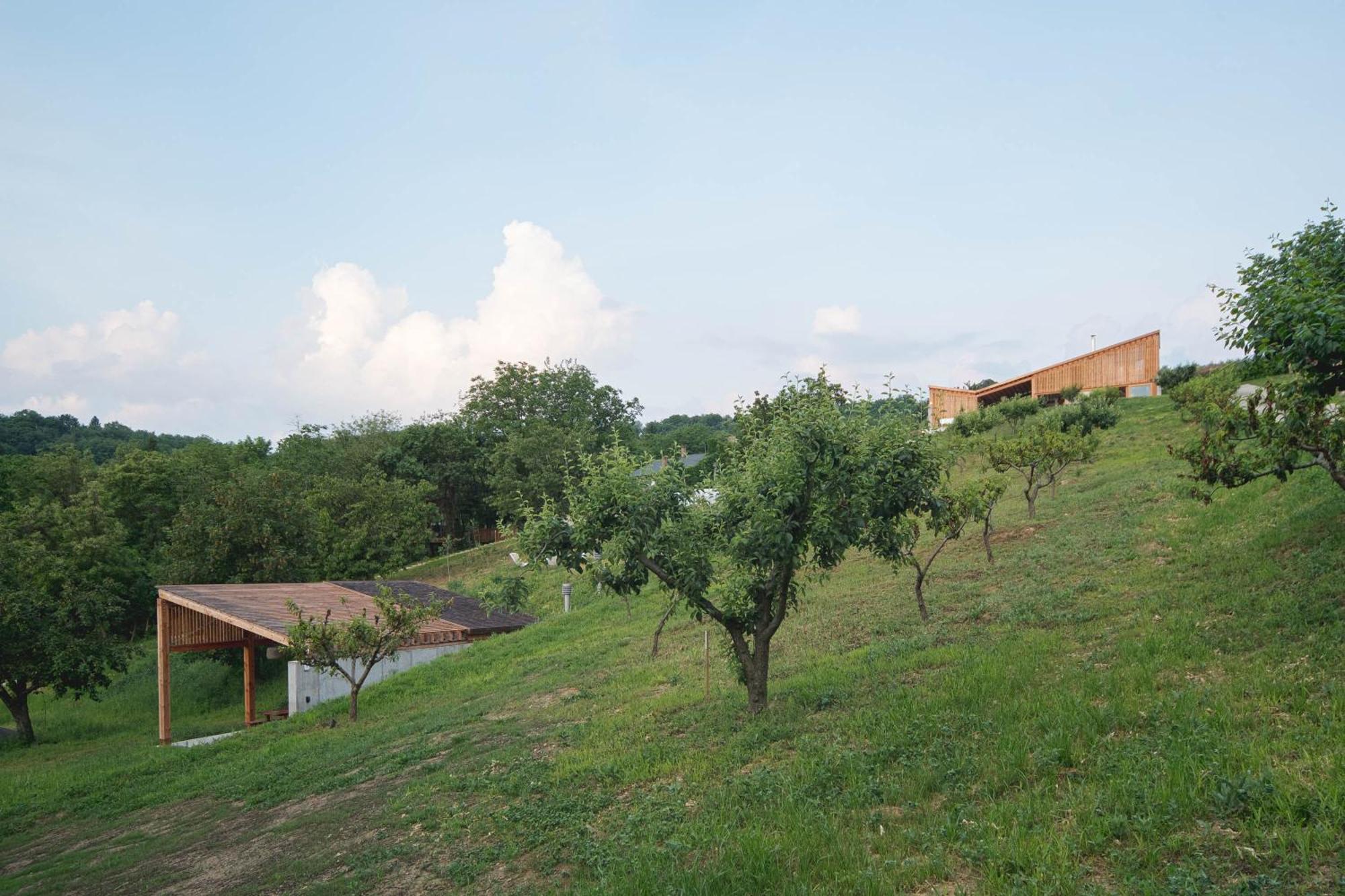 Szegzard - The Lodge Сексард Экстерьер фото
