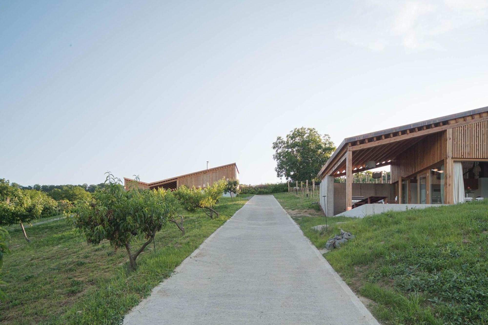 Szegzard - The Lodge Сексард Экстерьер фото